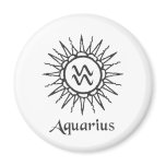 Aquarius Fridge Magnet