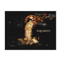 Aquarius-Postcard Postcard