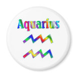 Aquarius Rainbow Refrigerator Magnets