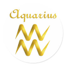 Aquarius Round Sticker