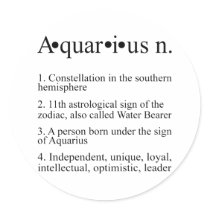 Aquarius Zodiac Definition Round Stickers