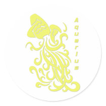 Aquarius Zodiac Sign Round Sticker