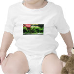 Aquascape Bodysuit