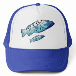 Aquatic Animals Collection hats