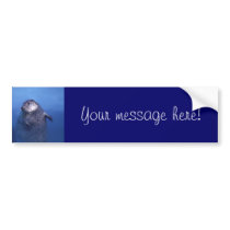 Aquatic bumper stickers