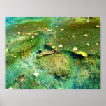 Aquatic Plants in Lincoln Park IX - Colour Saturat
