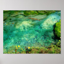 Aquatic Plants in Lincoln Park XII - Colour Satura Print