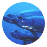 Aquatic Sticker