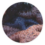 Aquatic Stickers