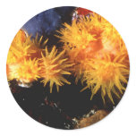 Aquatic Stickers