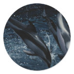 Aquatic Stickers