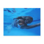 aquawoman_photo by Barry Kulick POSTCARD