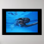 aquawoman_photo by Barry Kulick Posters