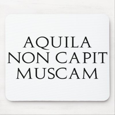 Aquila Non Capit Muscam Mouse Mats by alternateworlds