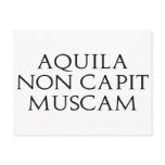 Aquila Non Capit Muscam Post Cards