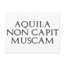 Aquila Non Capit Muscam Post Cards