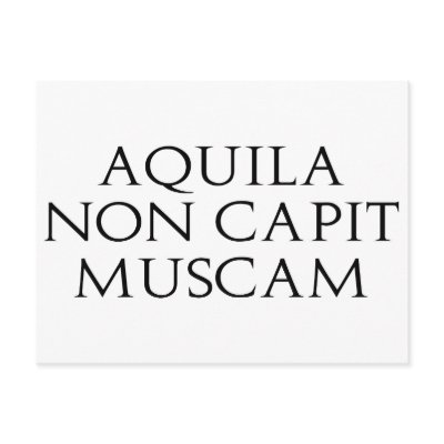 Aquila Non Capit Muscam Post Cards by alternateworlds