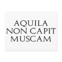 Aquila Non Capit Muscam postcards