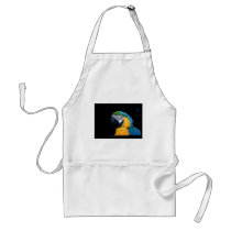 Ara ararauna - Blue-and-yellow Macaw  01 Apron