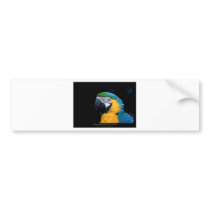 Ara ararauna - Blue-and-yellow Macaw  01 Bumper Stickers