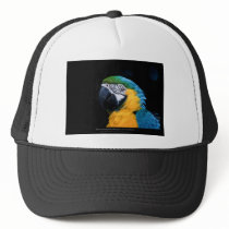 Ara ararauna - Blue-and-yellow Macaw  01 Trucker Hats