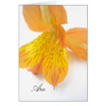 Ara Card