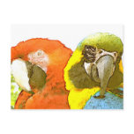 ara postcards