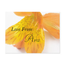 Ara Post Card