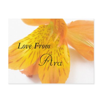 Ara Post Card by lollypopgirrrl