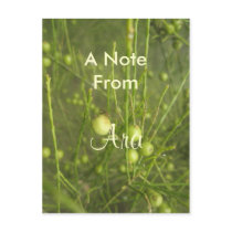 Ara Postcards