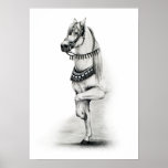Arab Dancer posters