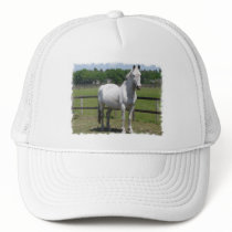 Arab Horse Baseball Hat