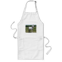 Arab Horse Long Apron