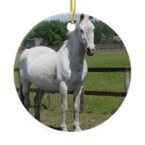 Arab Horse Ornament