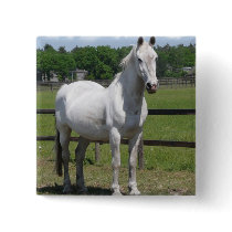 Arab Horse Square Pin