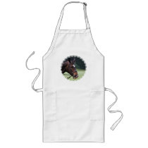 Arab Horse with White on Face Apron