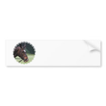 Arab Horse with White on Face Bumper Sticker
