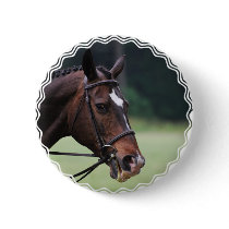 Arab Horse with White on Face Button