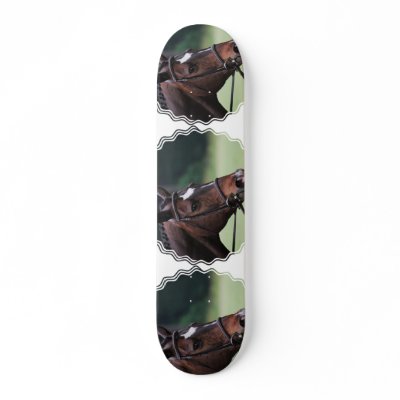 Arab Horse with White on Face Skateboard by HorseStall