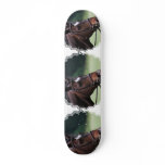 Arab Horse with White on Face Skateboard