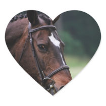 Arab Horse with White on Face Sticker