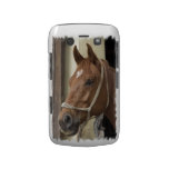 Arab Horses Blackberry Bold Case