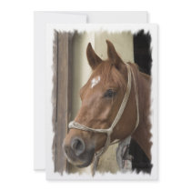 Arab Horses Invitation
