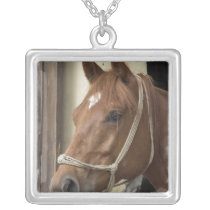Arab Horses Necklace