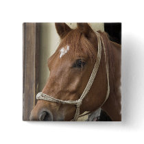Arab Horses Square Pin