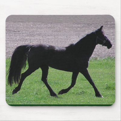 Arab profile mousepad by RookyStudios