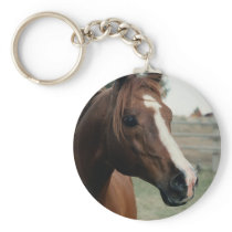 Arabian at Pasture Key Chains