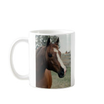 Arabian at Pasture Mugs