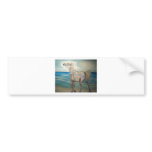 arabian beach bumper stickers