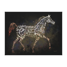 Arabian Beauty Stretched Canvas Print